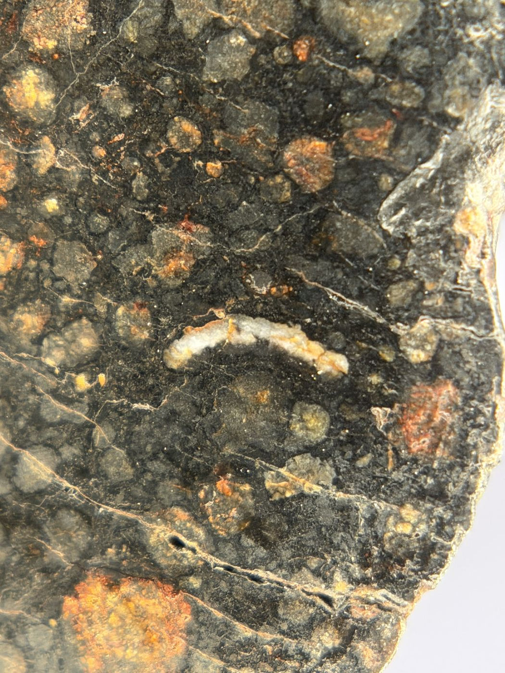 Calcium-aluminum-rich inclusion in NWA 18497 CVox3 carbonaceous chondrite