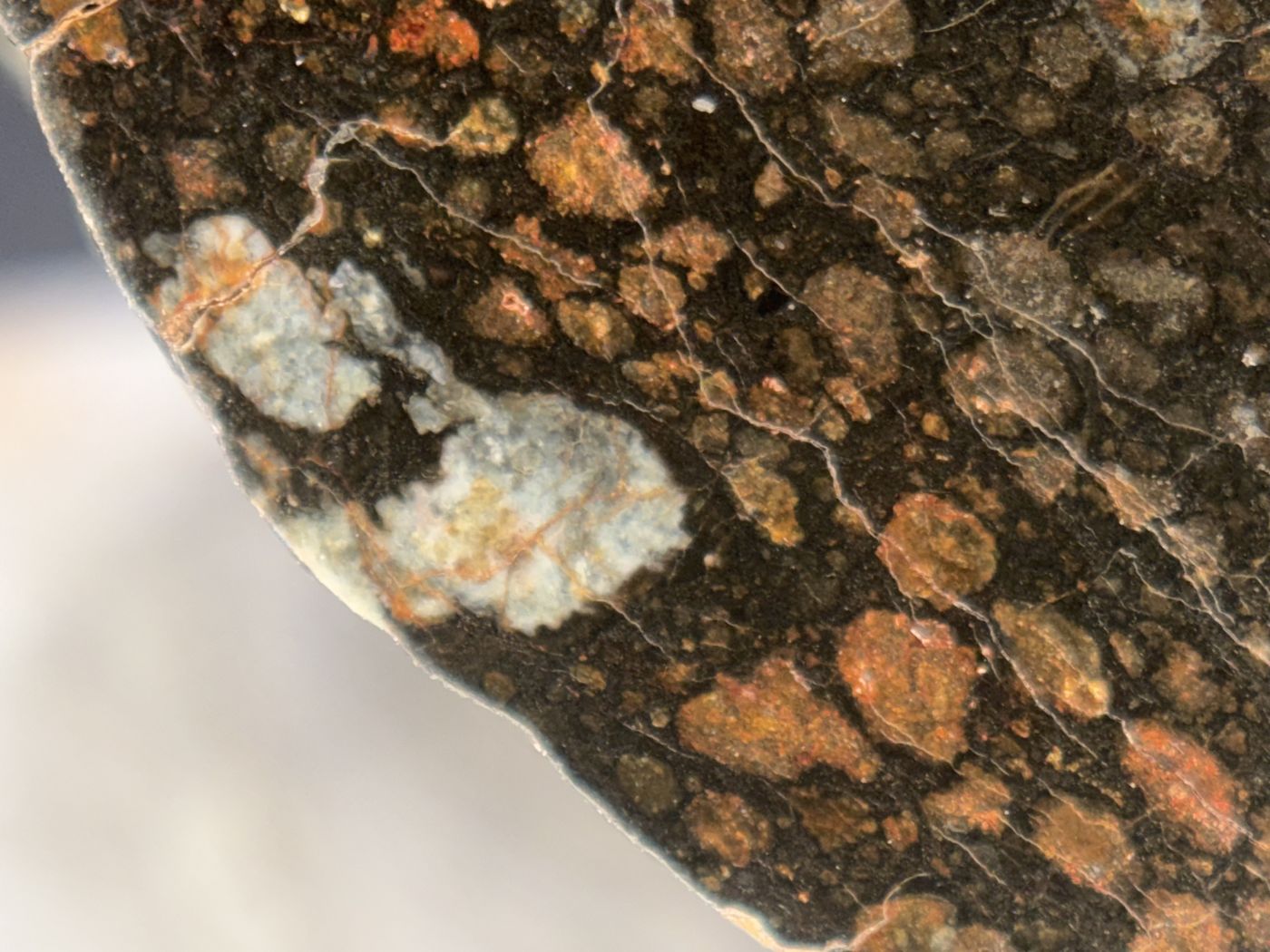 Pale inclusion consistent with a calcium-aluminum-rich inclusion on the cut face of NWA 18497 CVox3