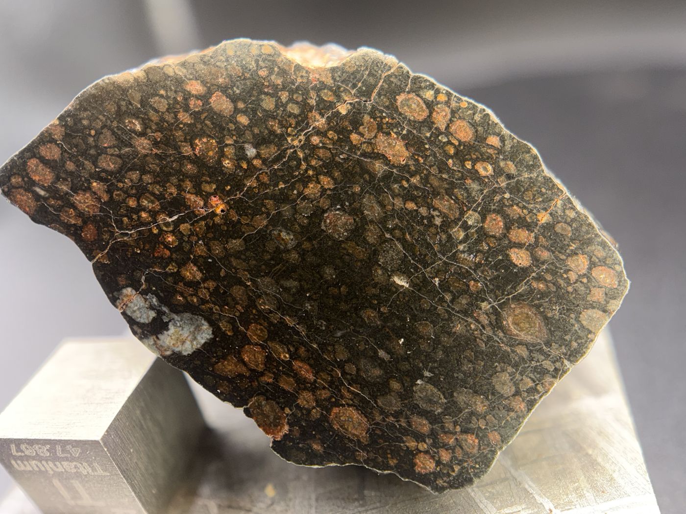 Angled view of the polished face of NWA 18497 CVox3 carbonaceous chondrite end cut