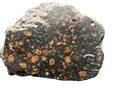 Polished cut face of NWA 18497 CVox3 carbonaceous chondrite showing chondrules in a dark matrix