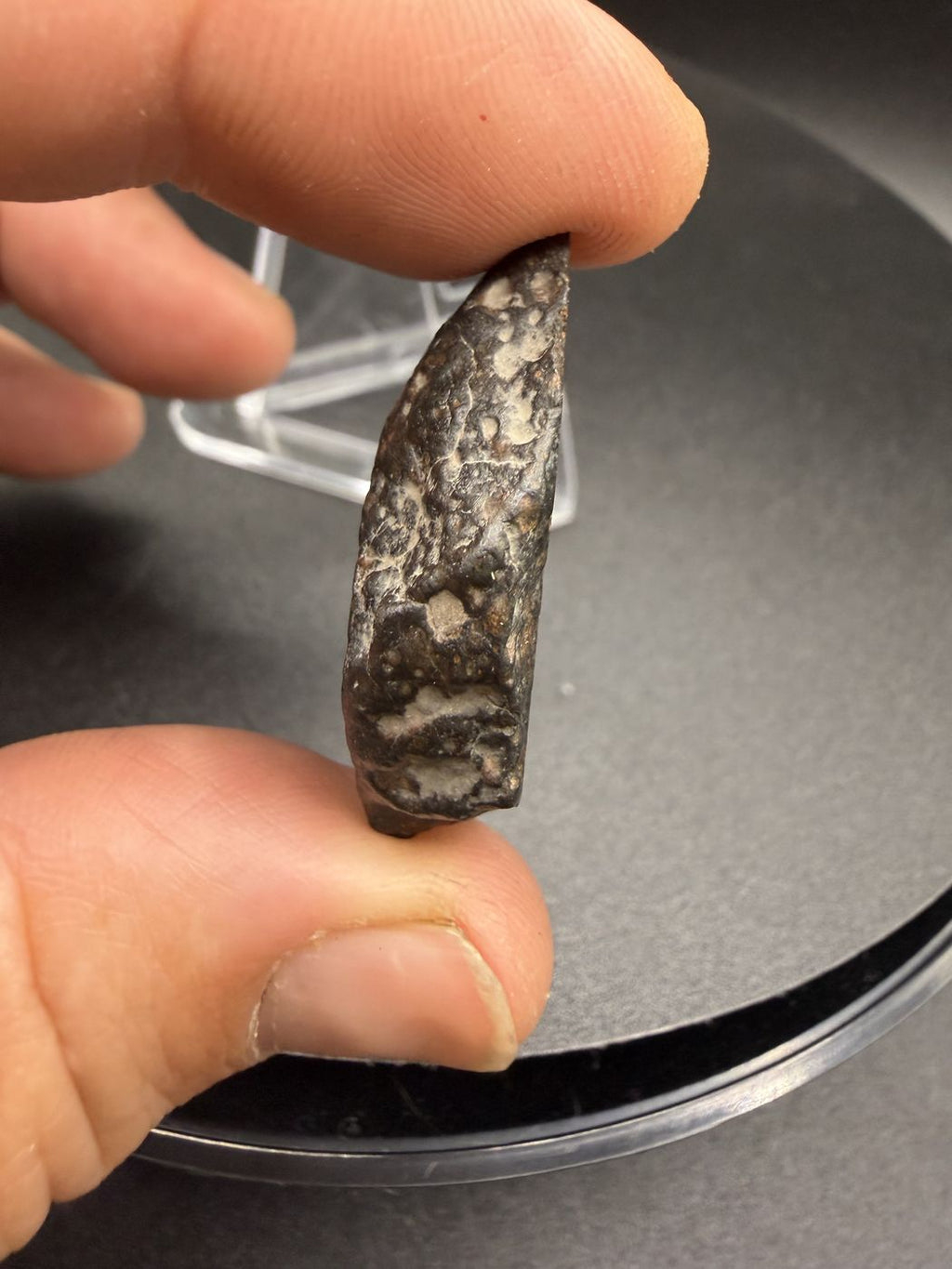 Side profile of NWA 18497 CVox3 carbonaceous chondrite end cut