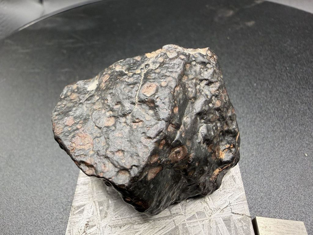 Weathered exterior surface of NWA 18497 CVox3 carbonaceous chondrite end cut