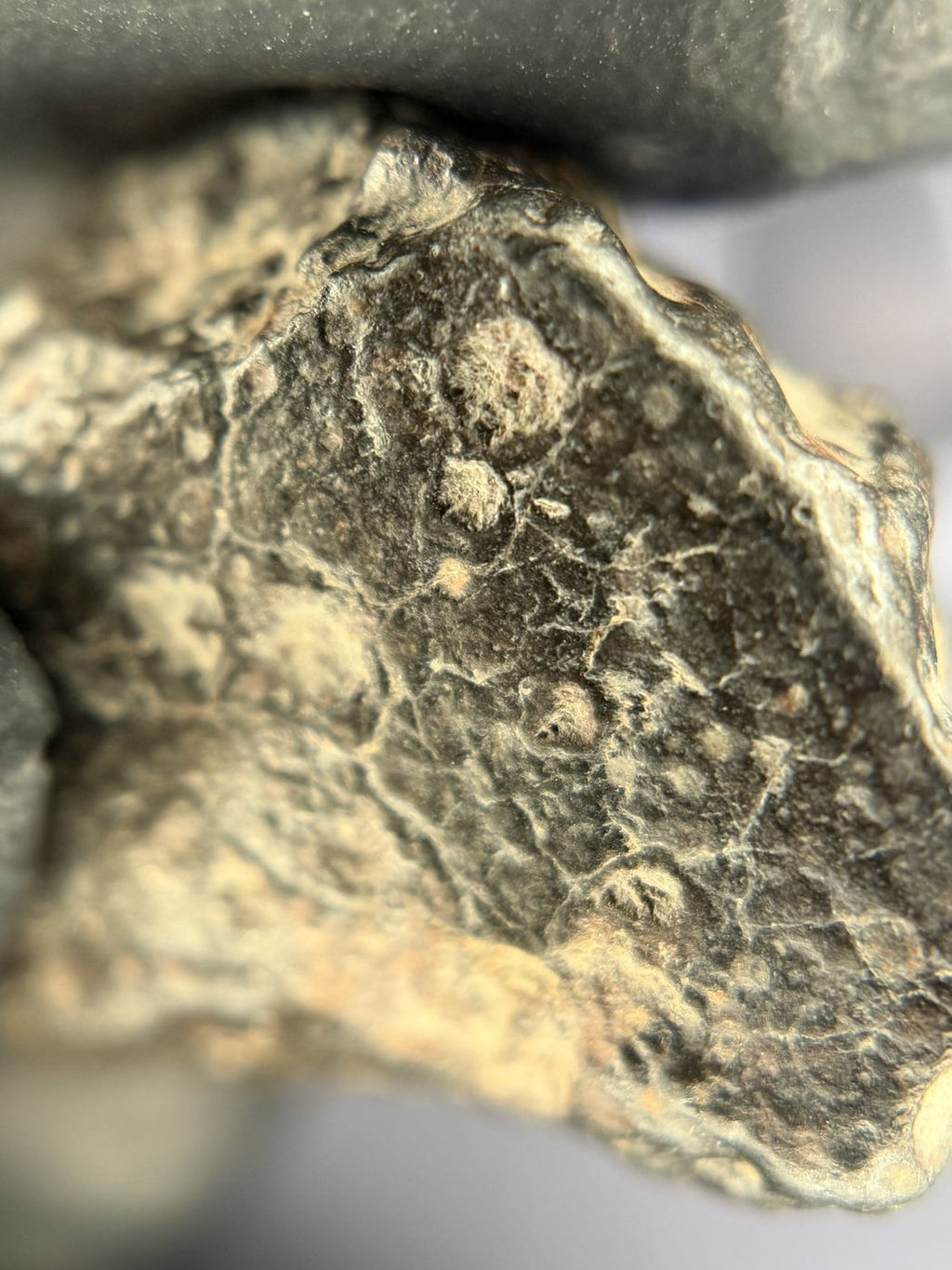 Exterior surface detail of NWA 18497 CVox3 carbonaceous chondrite