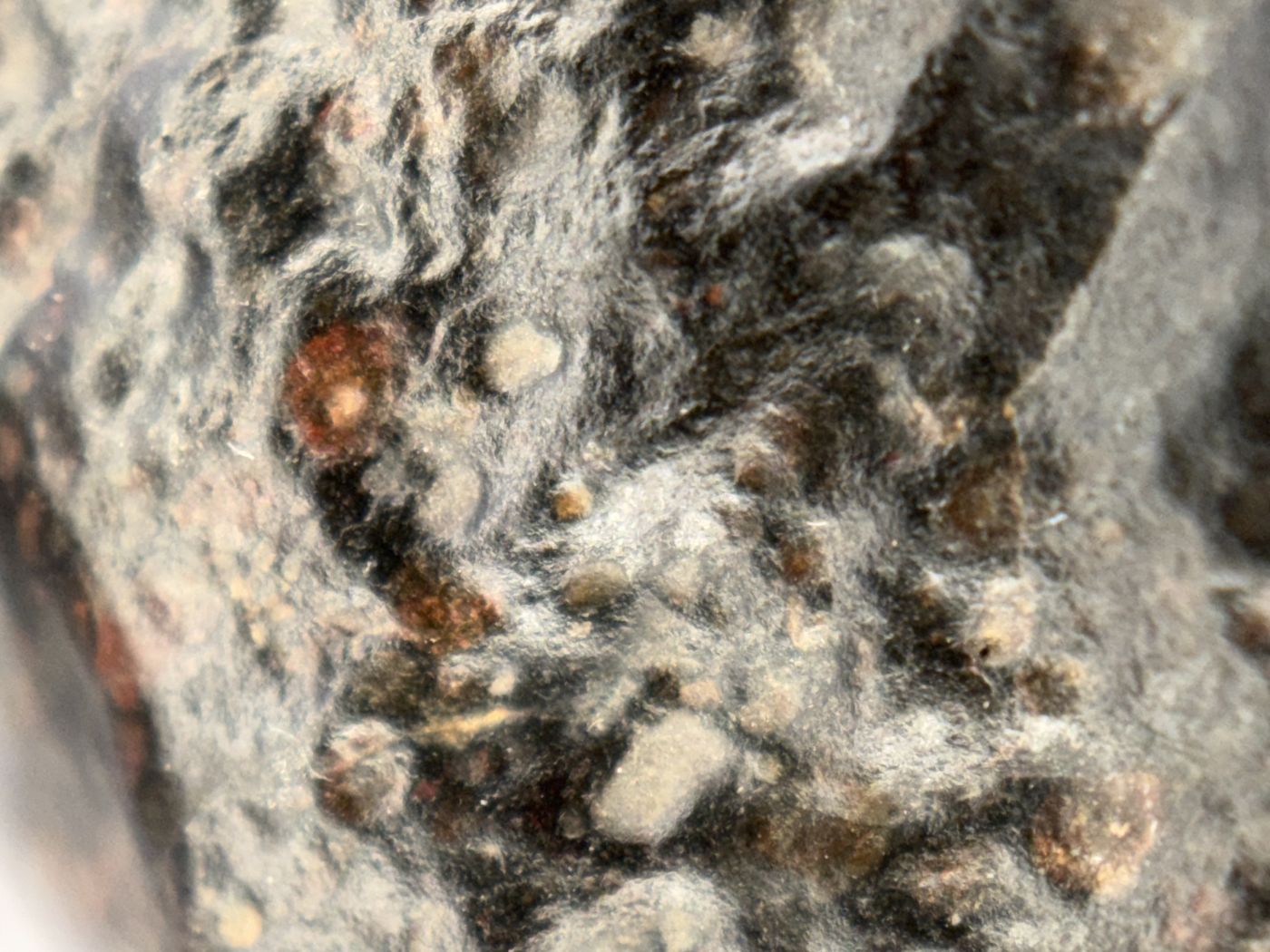 Surface texture detail of the natural exterior of NWA 18497 CVox3 carbonaceous chondrite