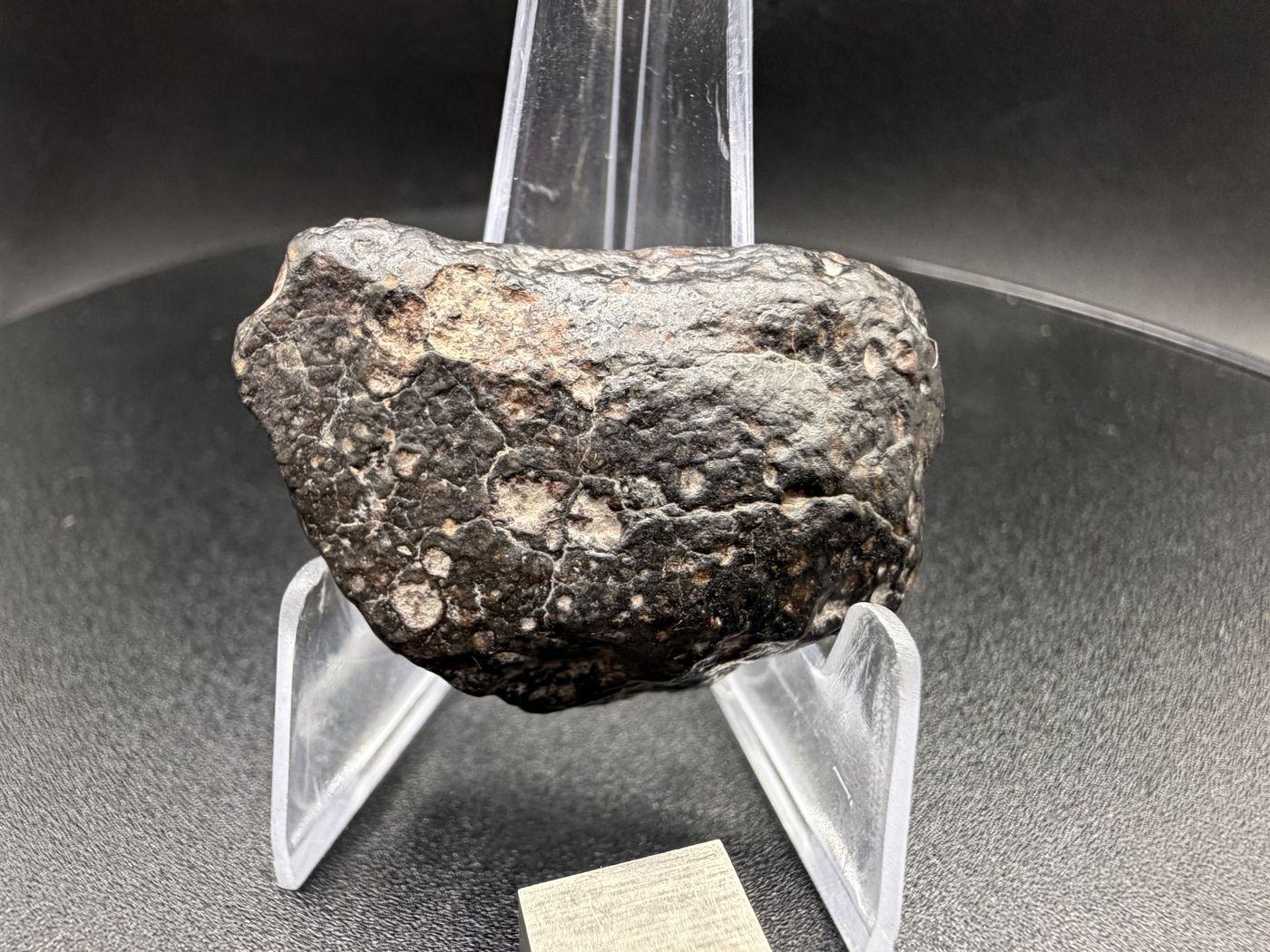 Natural exterior of NWA 18497 CVox3 carbonaceous chondrite end cut