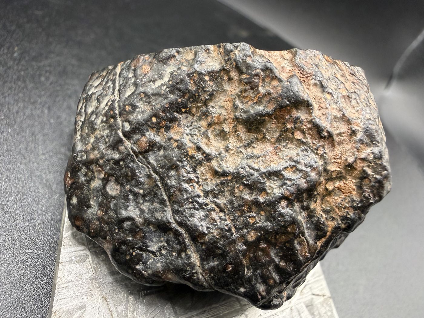 Natural exterior of NWA 18497 CVox3 carbonaceous chondrite with chondrules standing in relief