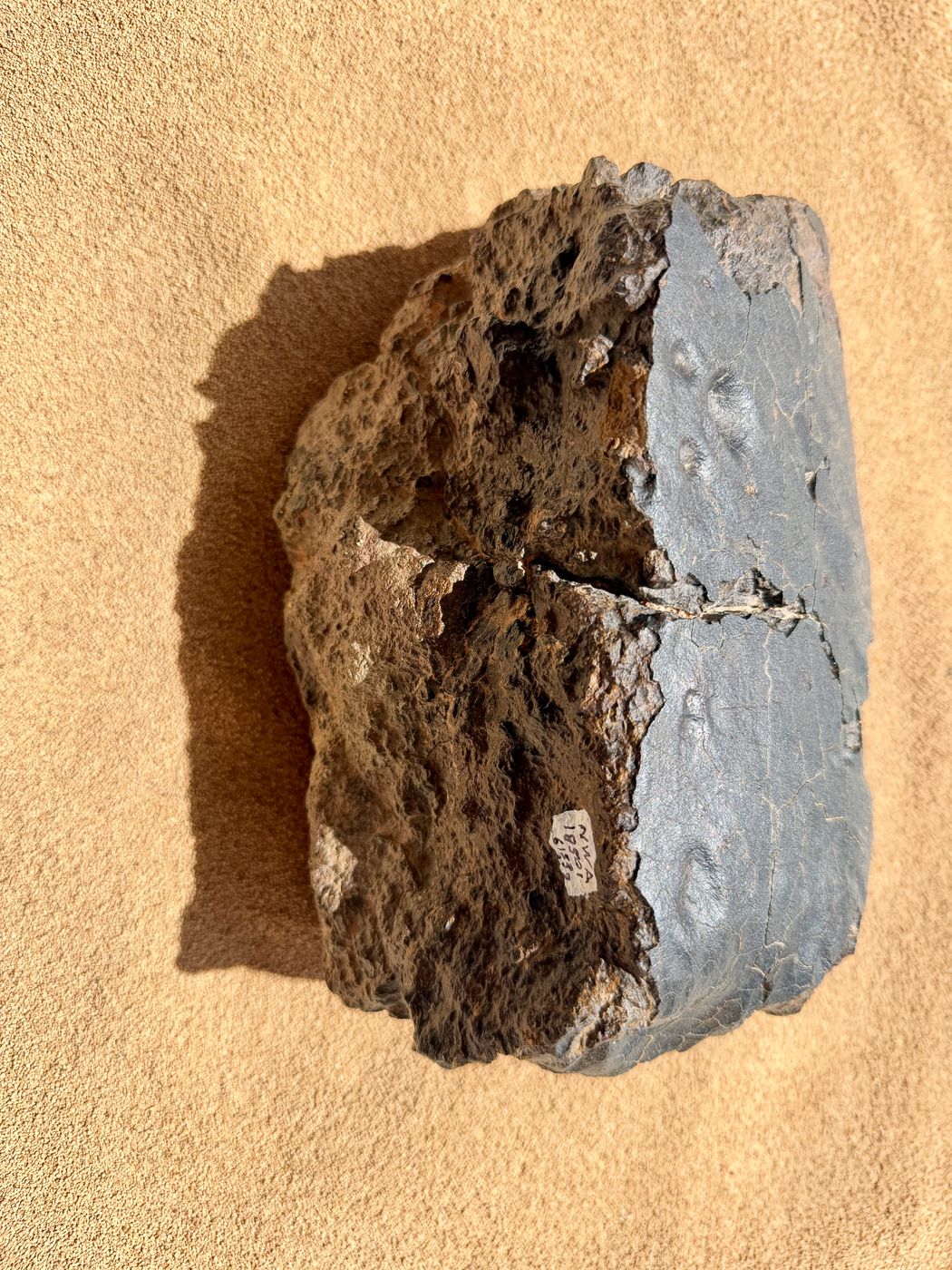 NWA 18501 LL6 ordinary chondrite showing dark fusion crust meeting a rough weathered broken edge, 6183g.