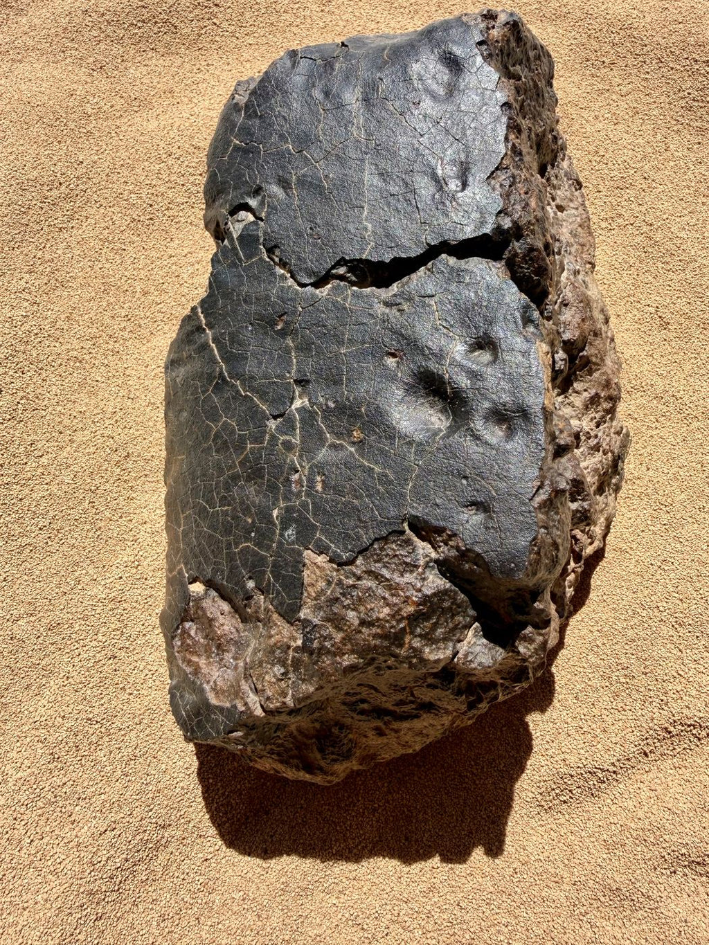 Fusion crusted face of NWA 18501 LL6 ordinary chondrite with dark crust, contraction cracks and shallow regmaglypts, 6183g.