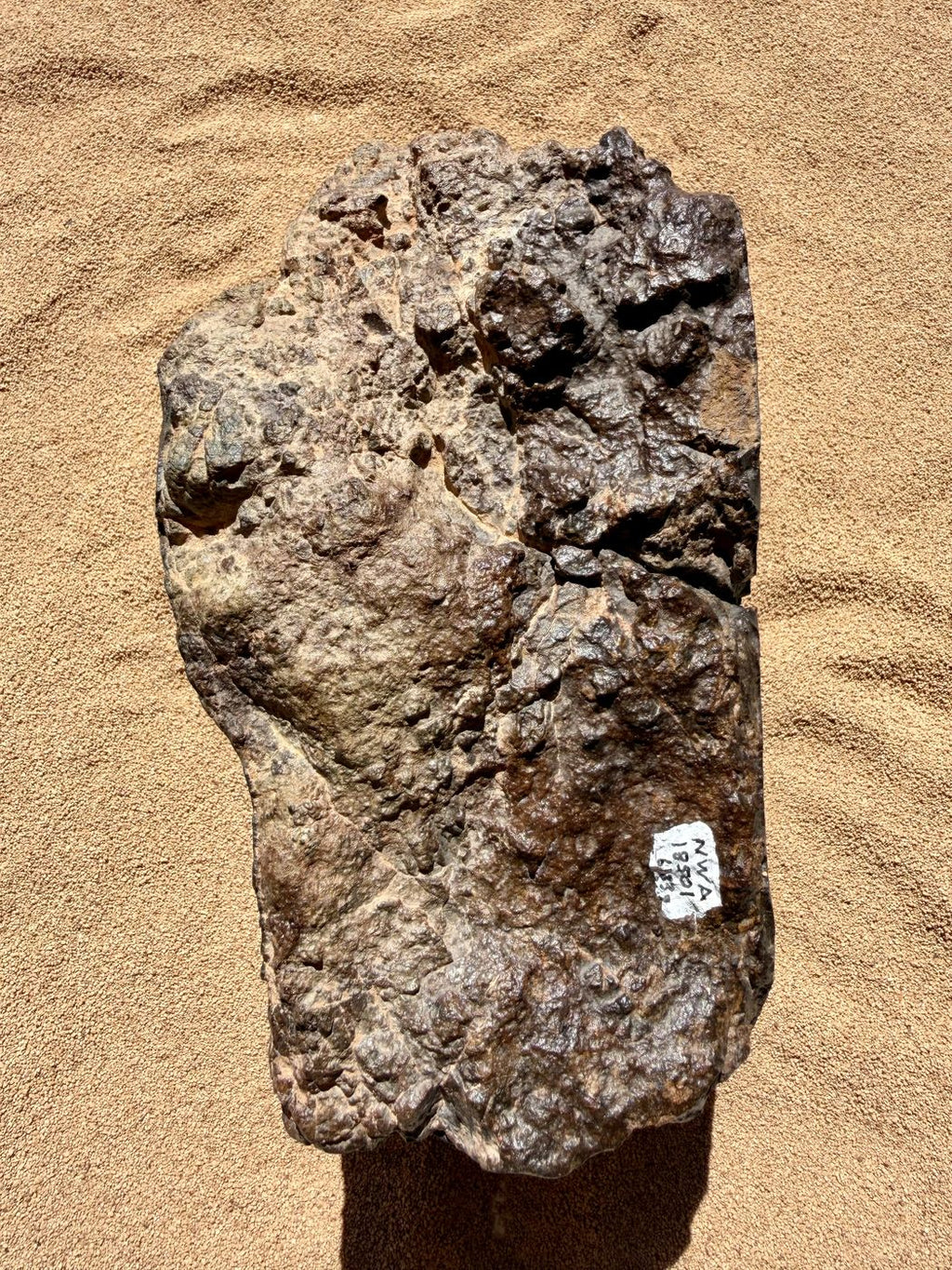 Reverse of NWA 18501 LL6 ordinary chondrite with a specimen label on the weathered desert surface, 6183g.