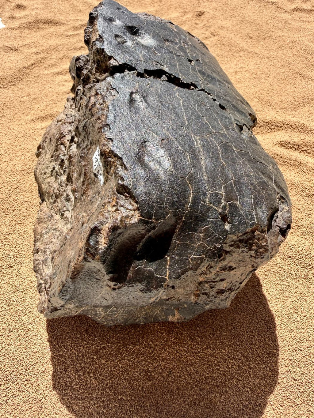 Angled three quarter view of NWA 18501 LL6 ordinary chondrite showing fusion crust, regmaglypts and a shallow flow cavity, 6183g.