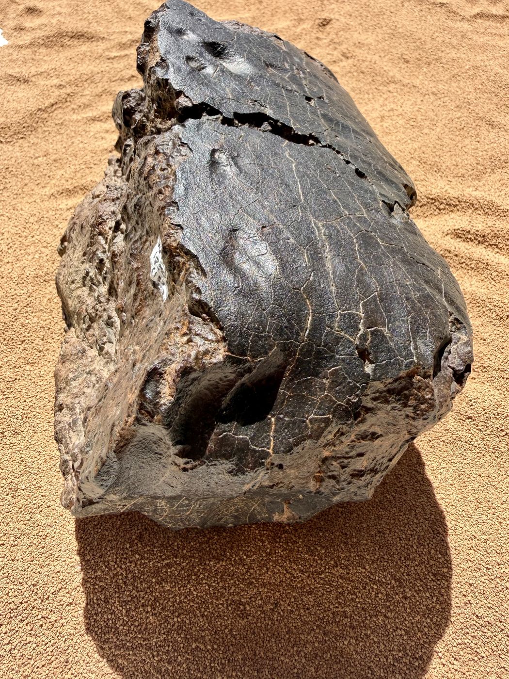 Angled three quarter view of NWA 18501 LL6 ordinary chondrite showing fusion crust, regmaglypts and a shallow flow cavity, 6183g.