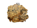 NWA 18591 diogenite meteorite, 6.57g polished full slice, front face on a white background showing brecciated orthopyroxene texture, HED achondrite from Vesta