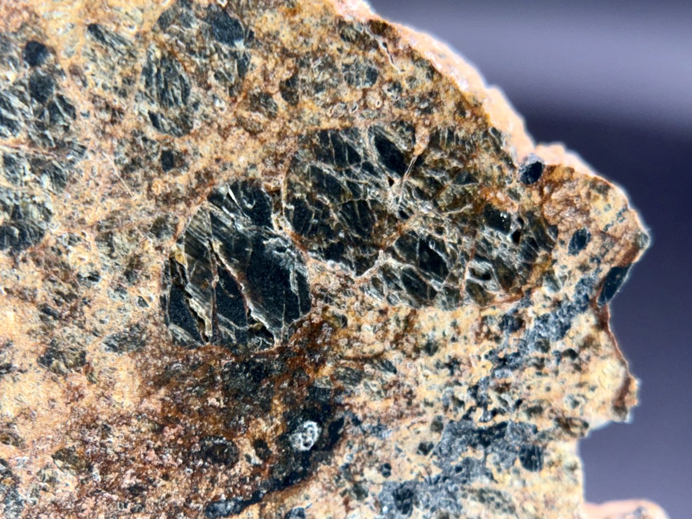 NWA 18591 diogenite, 6.57g, macro of a dark orthopyroxene clast with fracture networks in weathered matrix