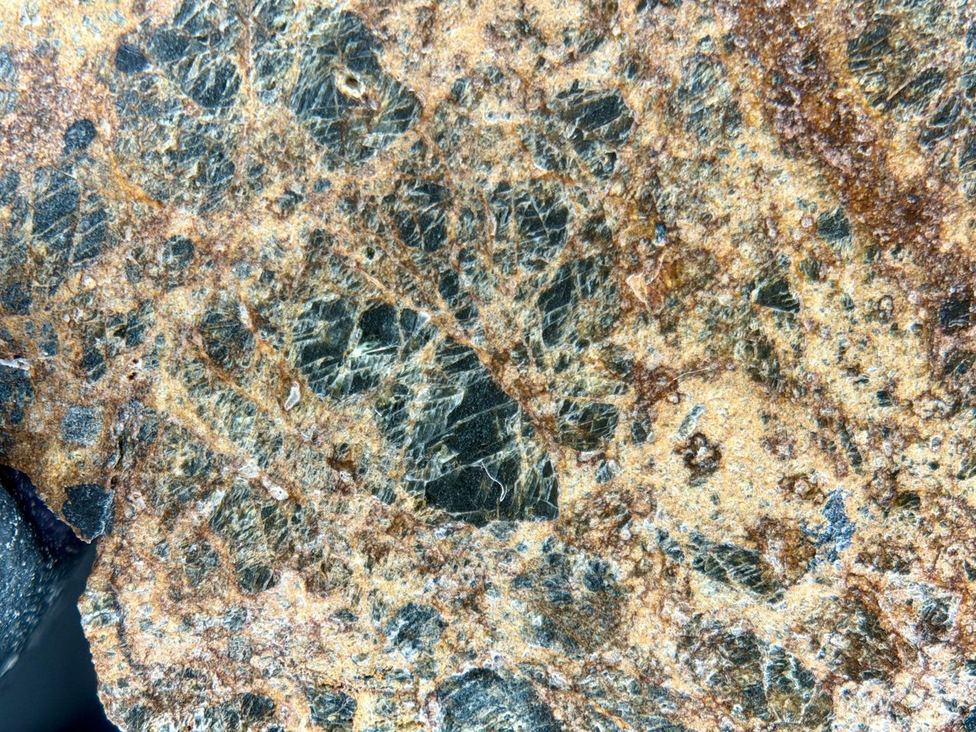NWA 18591 diogenite, 6.57g, macro of a dark orthopyroxene clast with fracture networks in weathered matrix