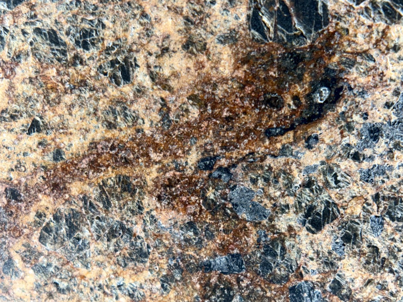 NWA 18591 diogenite, 6.57g, macro of the brecciated matrix with orthopyroxene clasts and oxidation