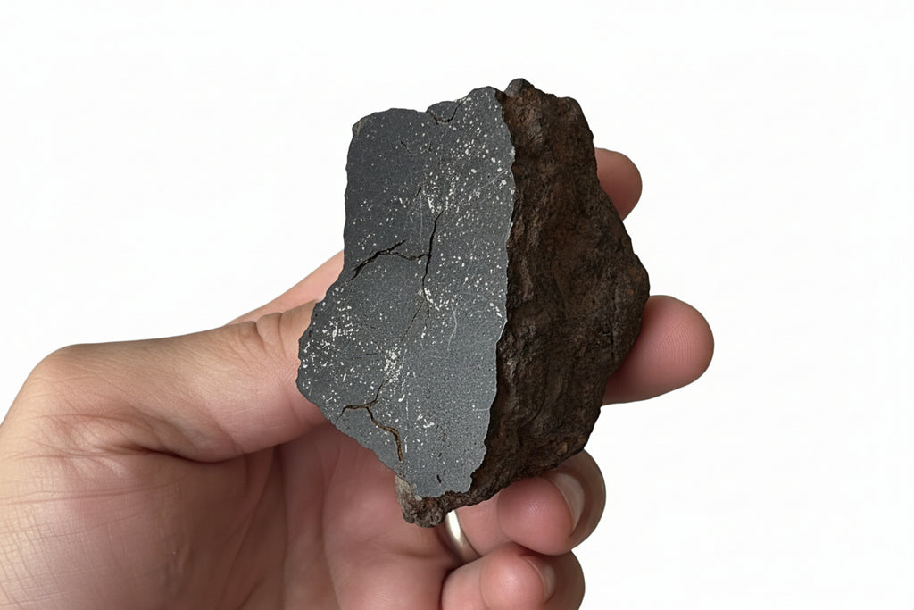 NWA 18593 winonaite end cut held in hand, mirror polished face catching the light across its metallic grains