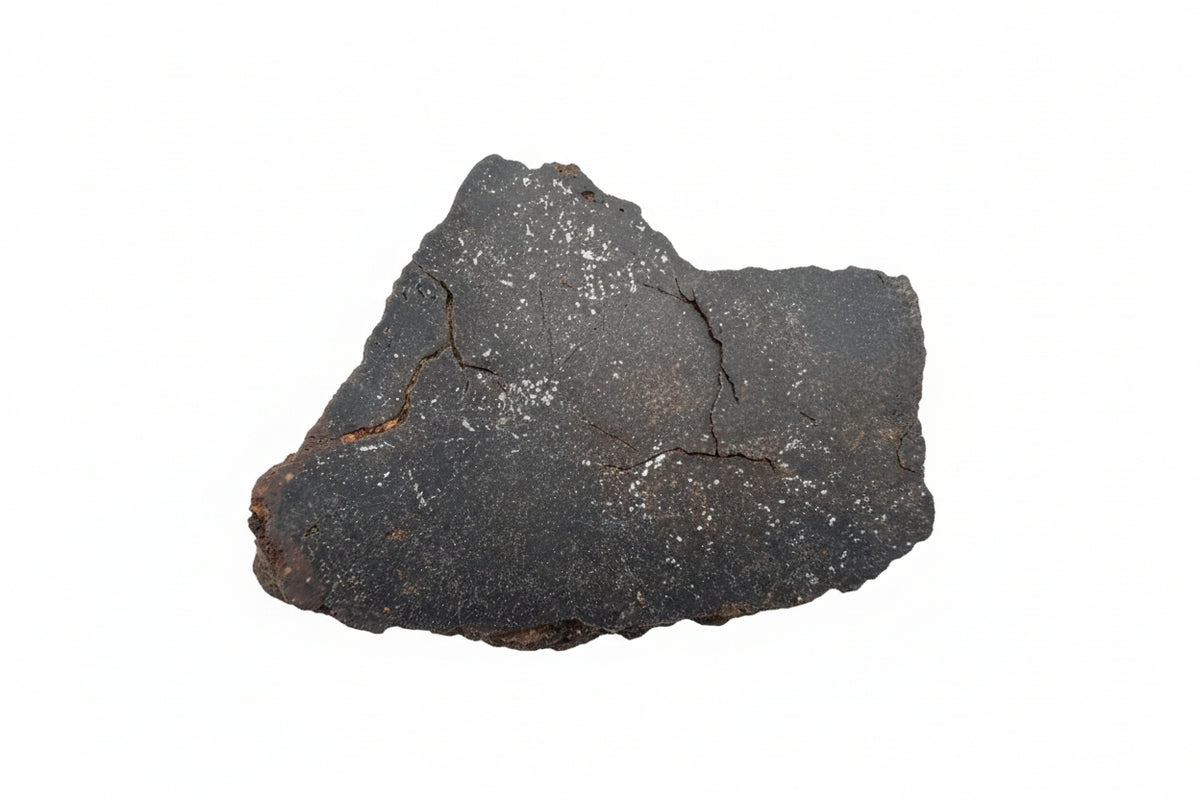 NWA 18593 winonaite polished face, showing scattered metallic grains and weathering fractures with brown fill