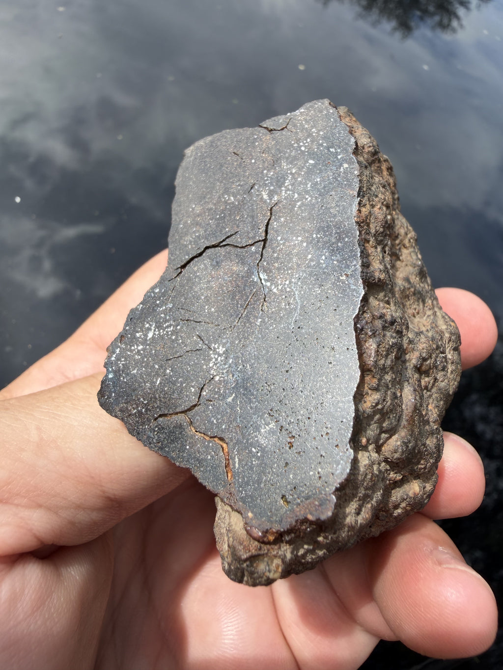 NWA 18593 winonaite end cut held in hand, showing the mirror polished face beside the weathered natural exterior