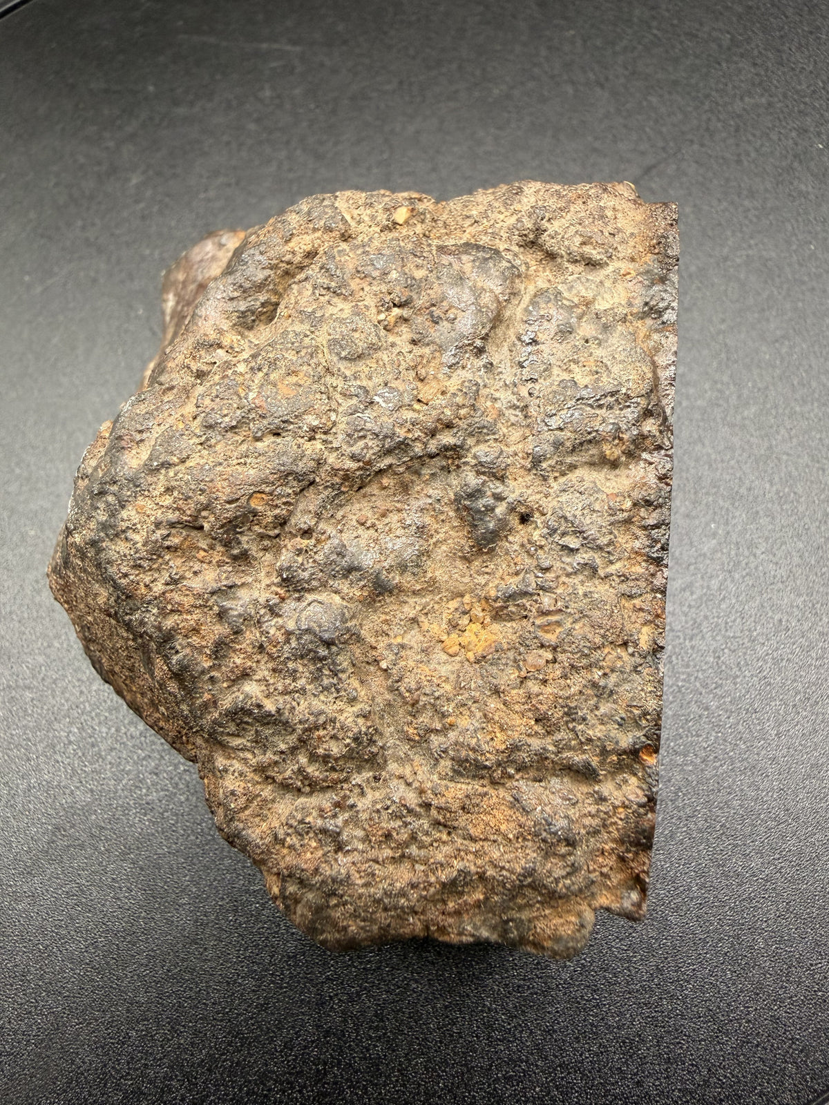 Natural weathered exterior of the NWA 18593 winonaite end cut, with the cut face seen edge-on at the right