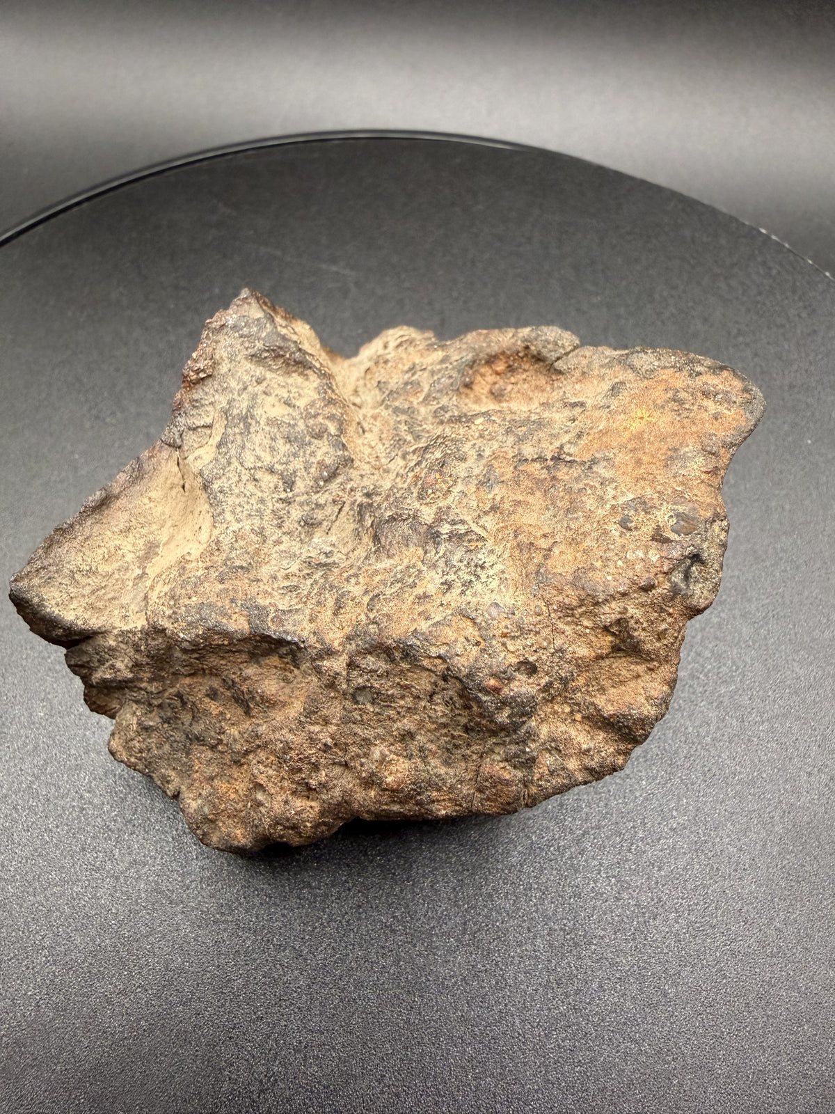 NWA 18593 winonaite end cut viewed from above, showing the weathered natural exterior