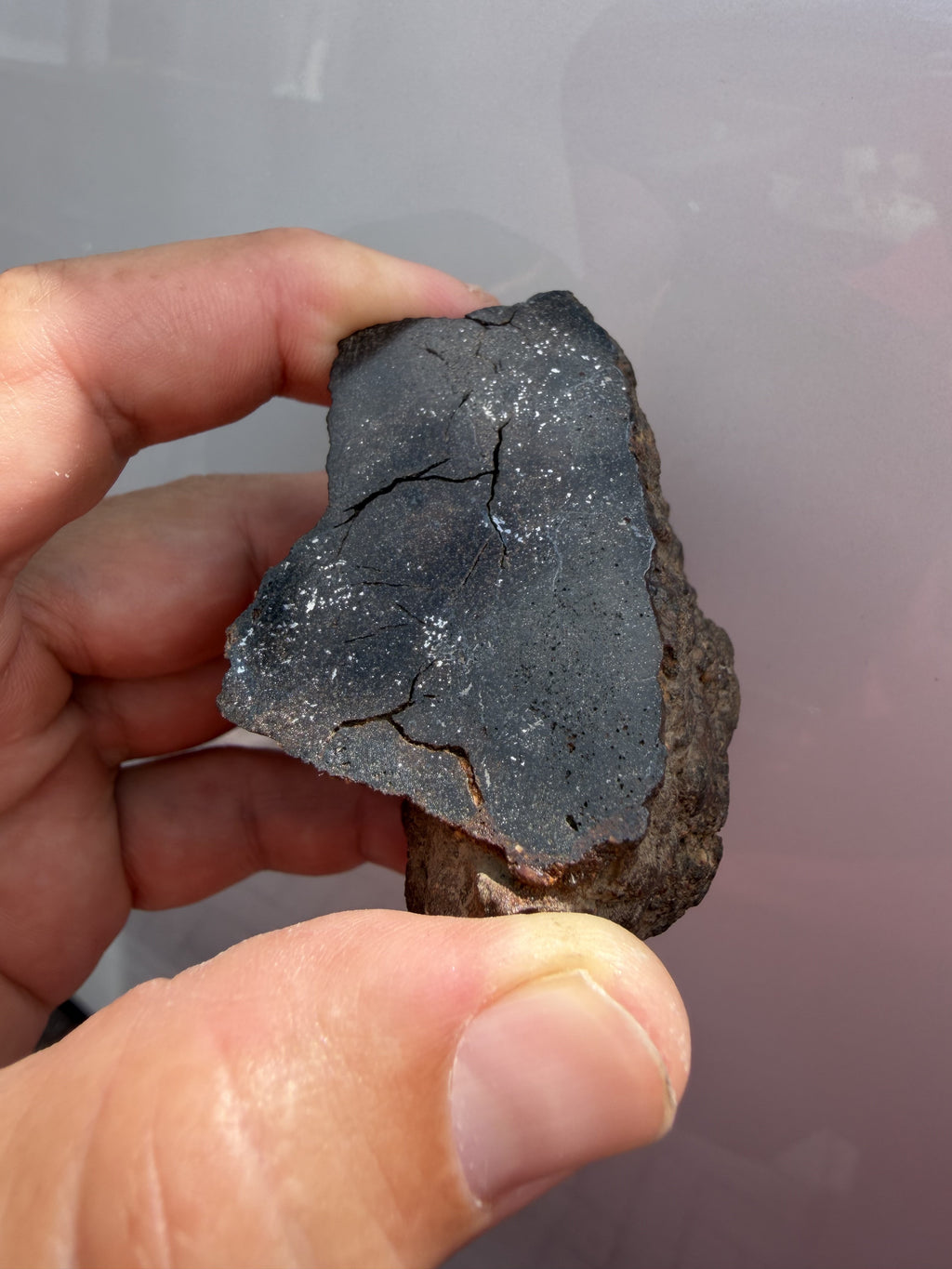 NWA 18593 winonaite end cut held in hand under low light, the polished face appearing dark with bright metallic points
