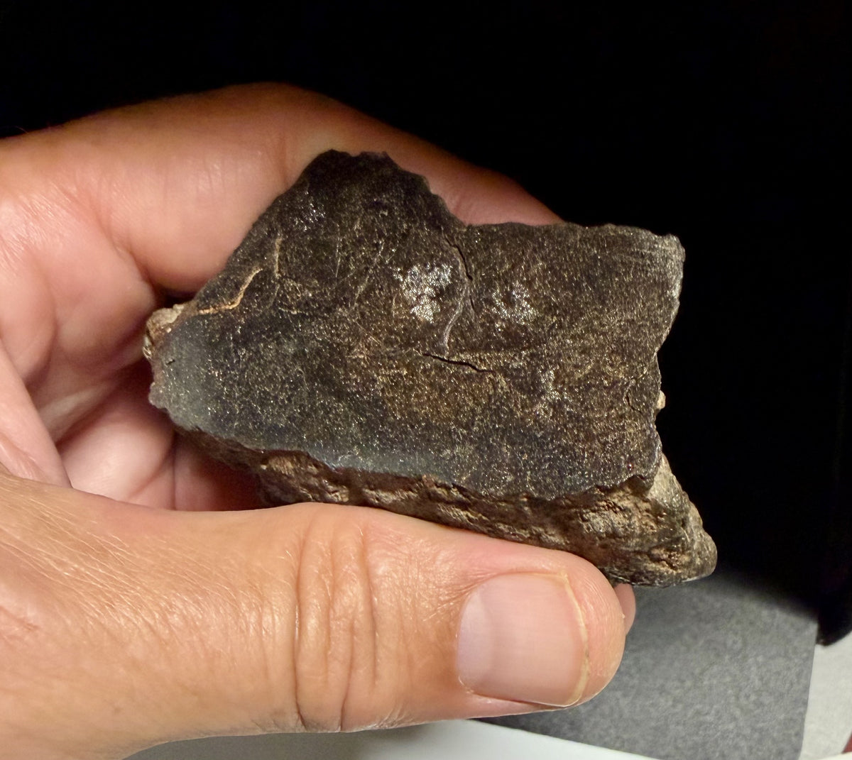 NWA 18593 winonaite meteorite, 279.74 g end cut, mirror polished face with metallic grains.