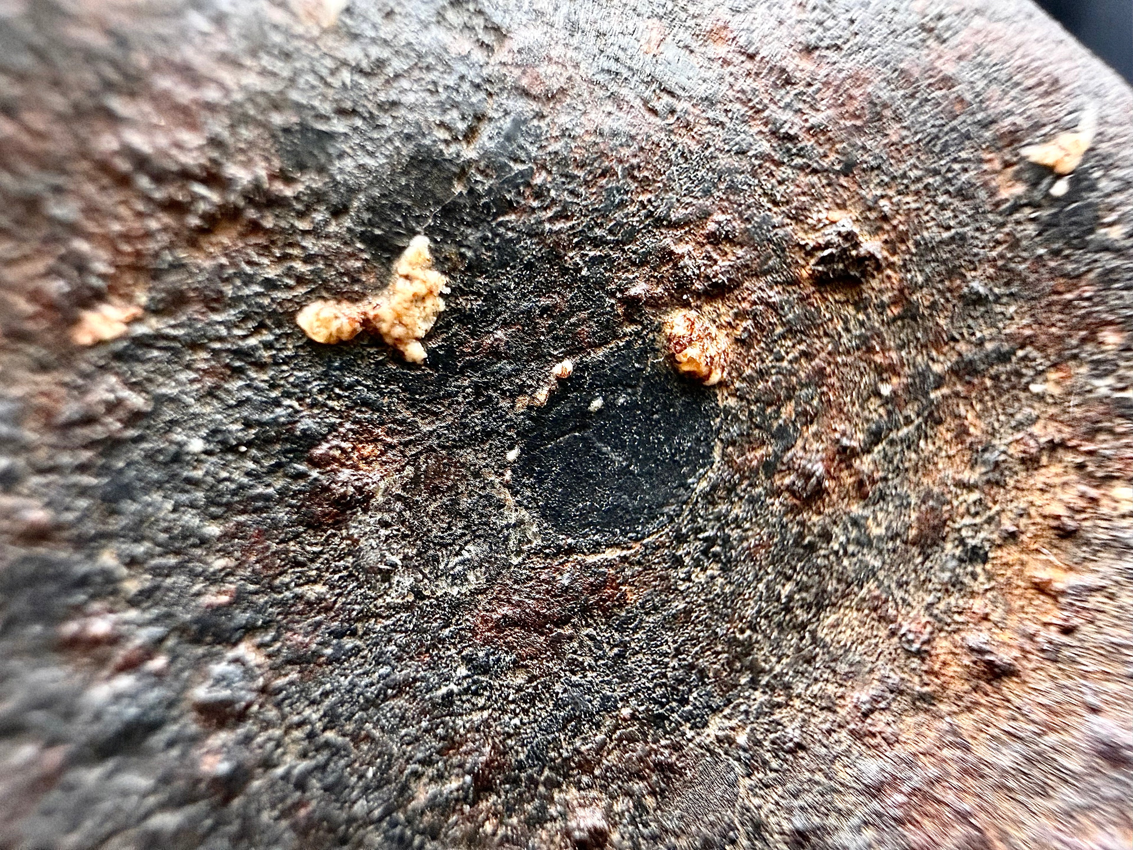 Close-up of fusion crust texture and chondrule on oriented NWA ordinary chondrite meteorite