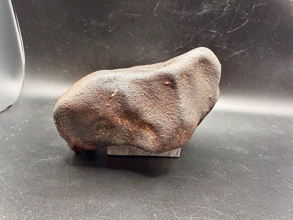 Side profile of oriented NWA ordinary chondrite meteorite individual 787 grams