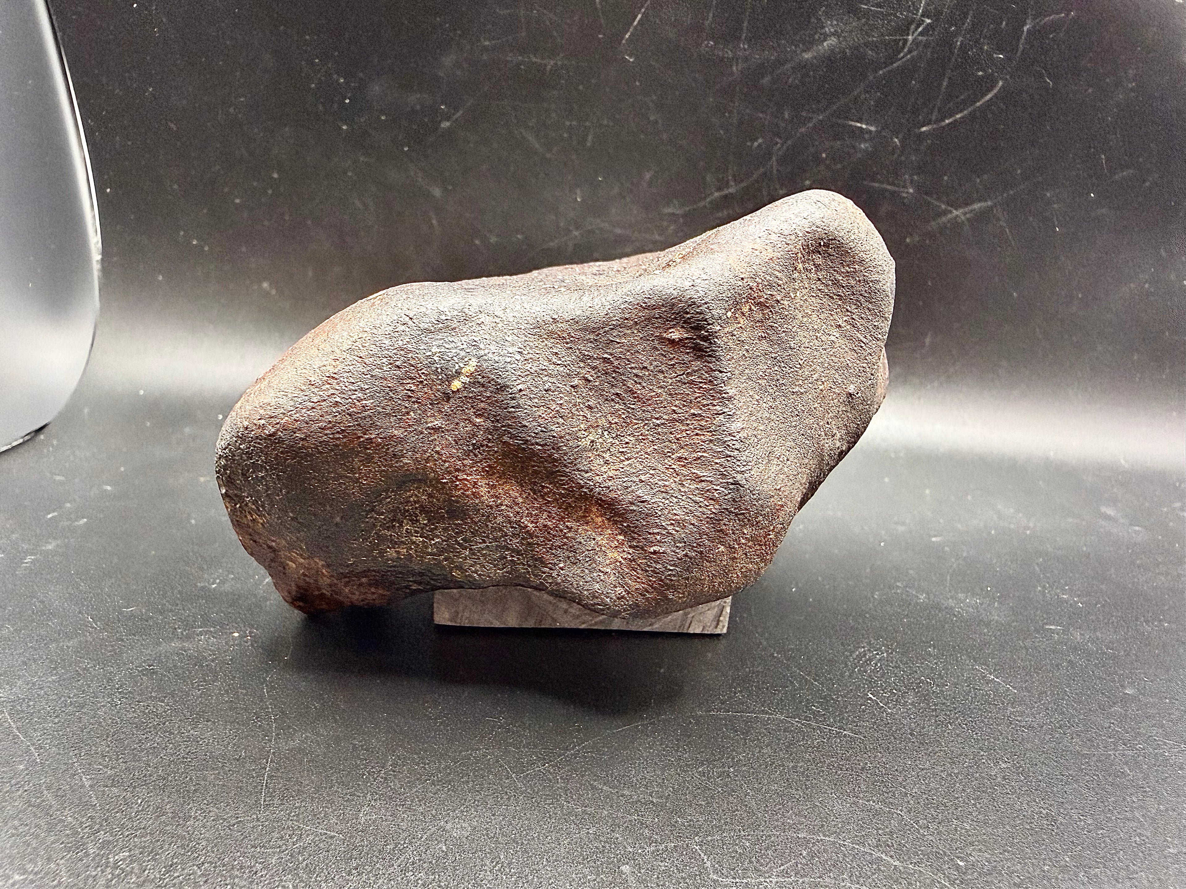 Side profile of oriented NWA ordinary chondrite meteorite individual 787 grams