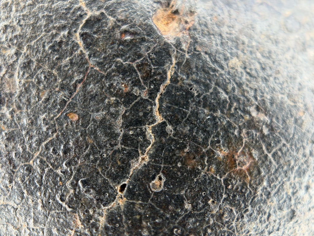 Macro view of the contraction crack network in fresh fusion crust, NWA XXX unclassified ordinary chondrite, 392.28g