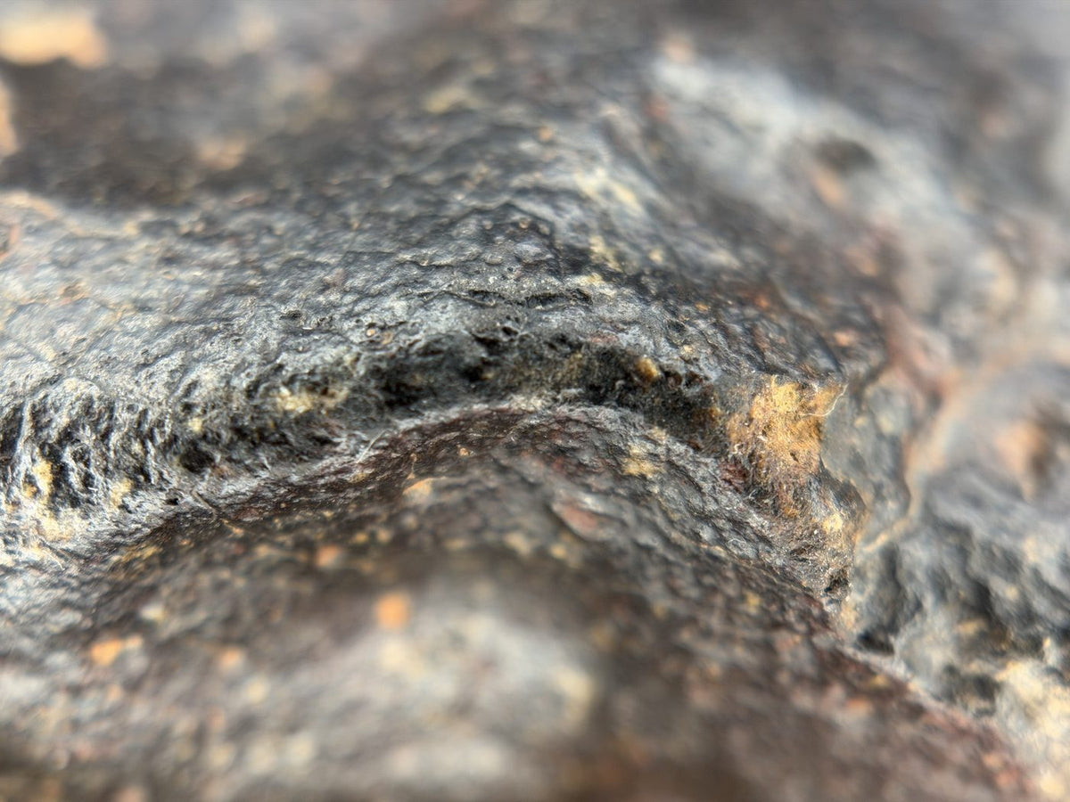 Macro view of fusion crust along a ridge between regmaglypts, NWA XXX unclassified ordinary chondrite, 392.28g
