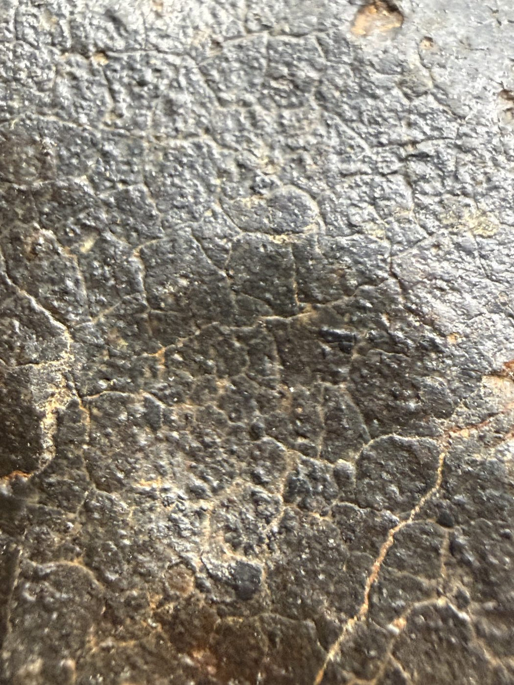 Macro view of fusion crust texture with fine contraction cracks, NWA XXX unclassified ordinary chondrite, 392.28g
