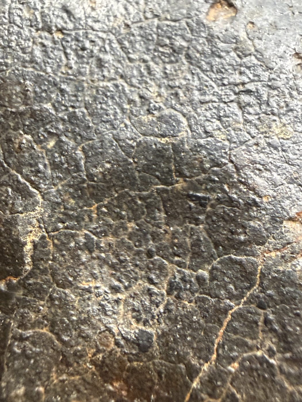 Macro view of fusion crust texture with fine contraction cracks, NWA XXX unclassified ordinary chondrite, 392.28g