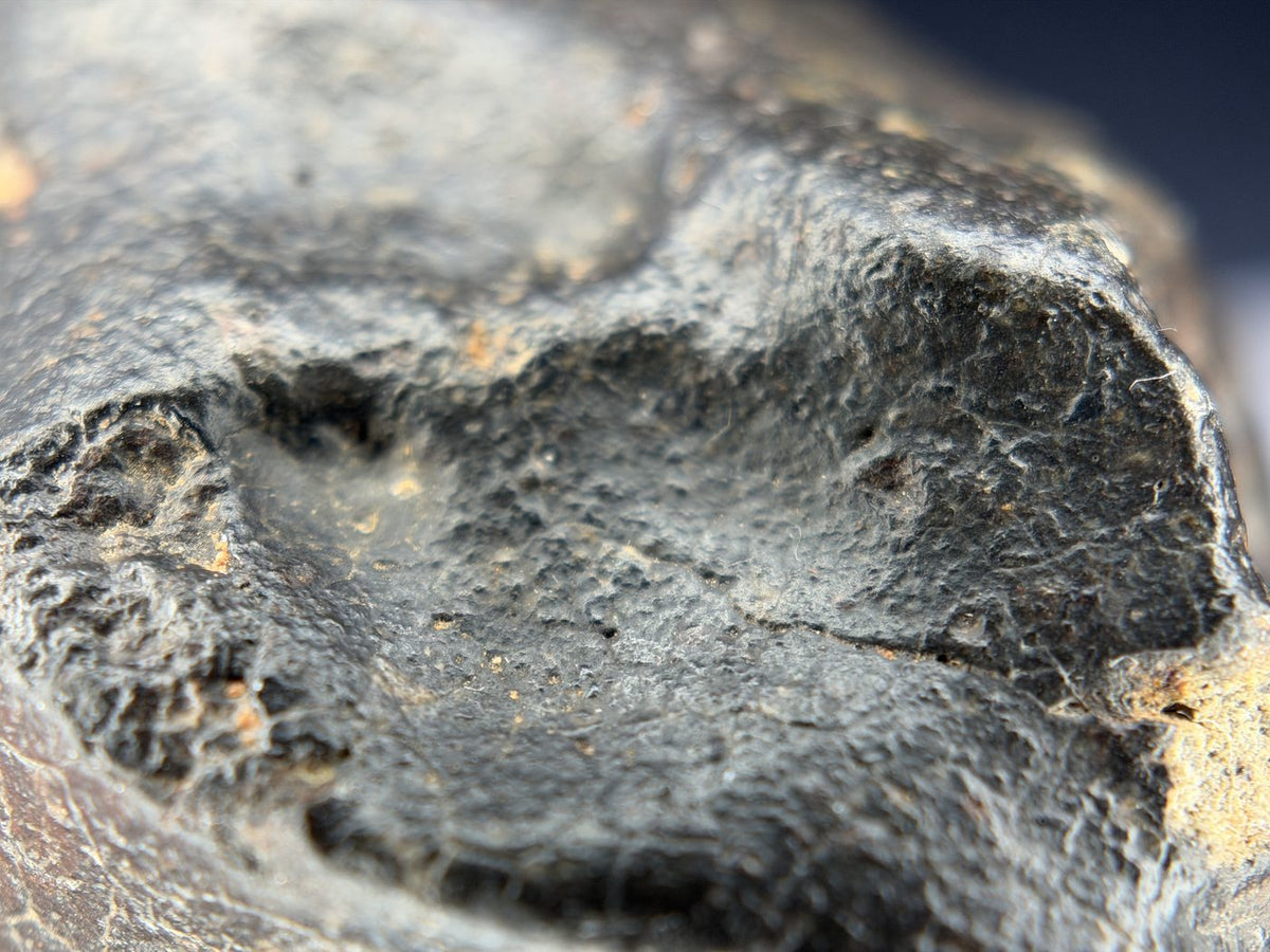 Macro view of a regmaglypt in black fusion crust, NWA XXX unclassified ordinary chondrite, 392.28g