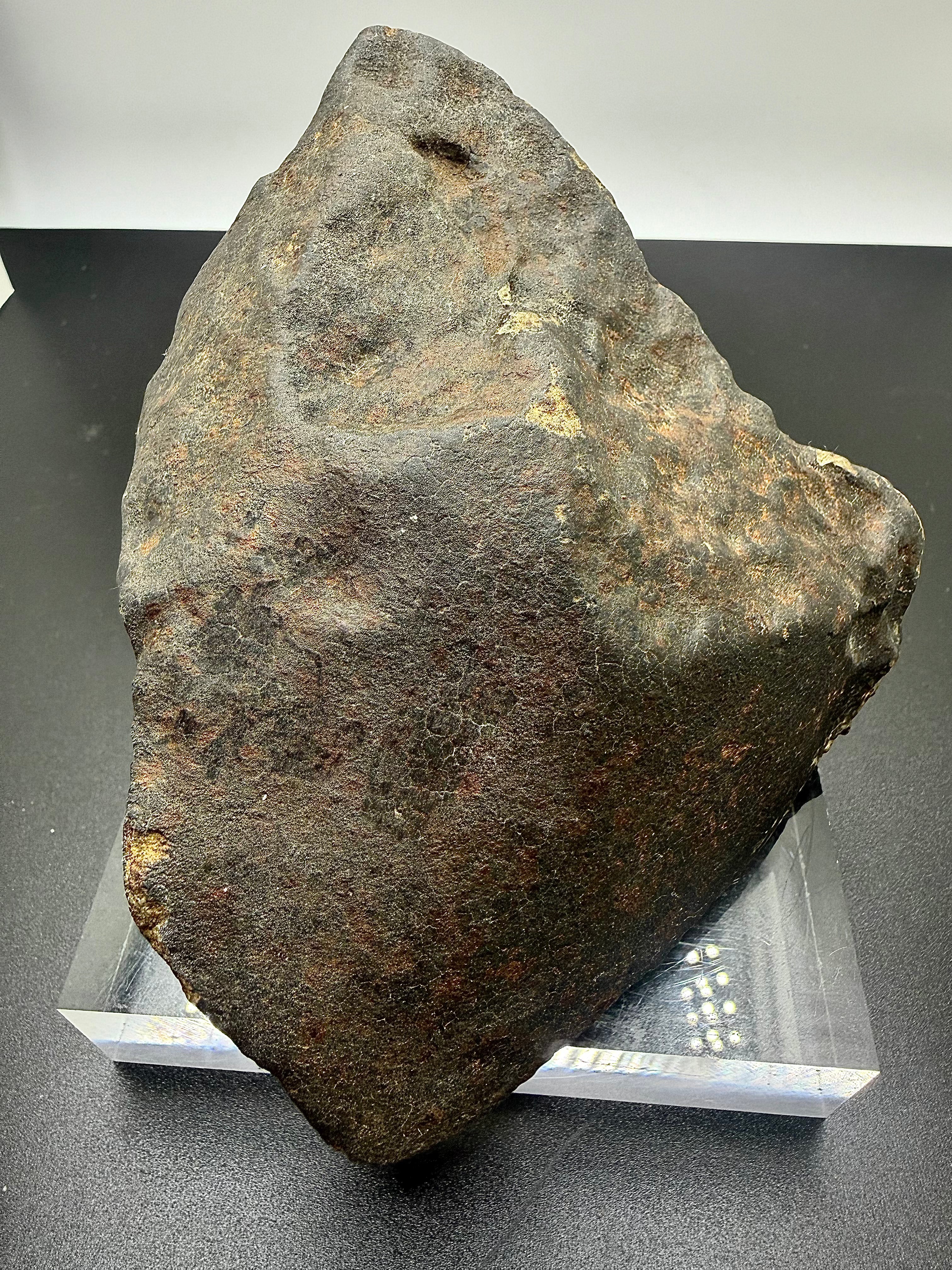 Side view of NWA XXX unclassified ordinary chondrite meteorite individual showing dark fusion crust and aerodynamic profile, 1091.71g