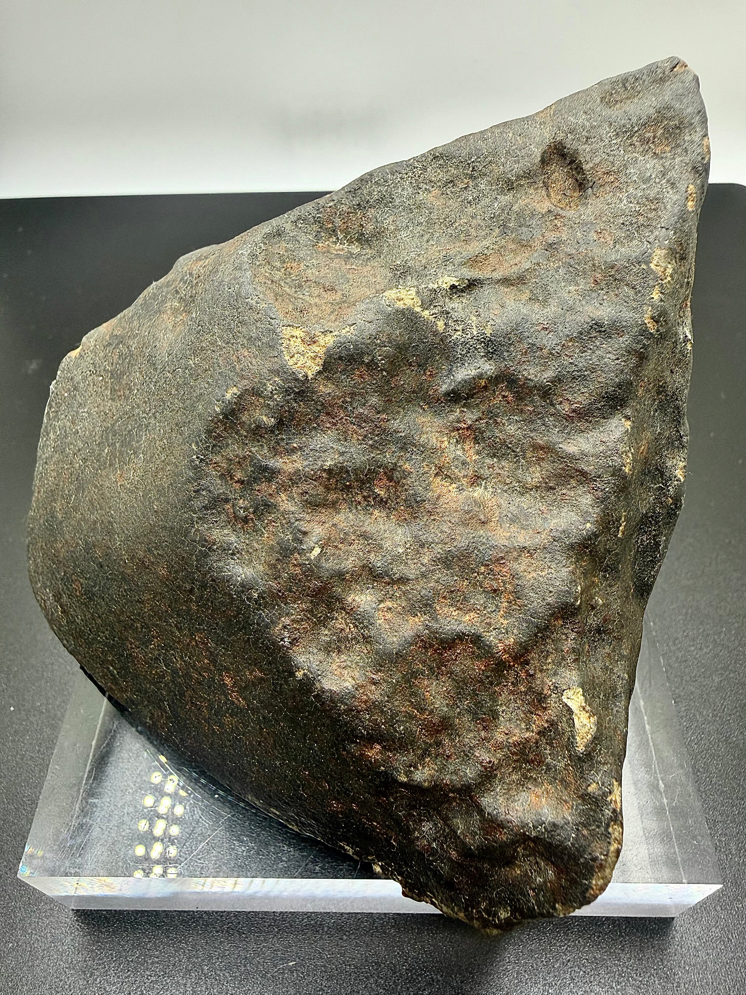 Trailing surface of NWA XXX unclassified ordinary chondrite meteorite showing pronounced regmaglypts and aerodynamic shaping, 1091.71g