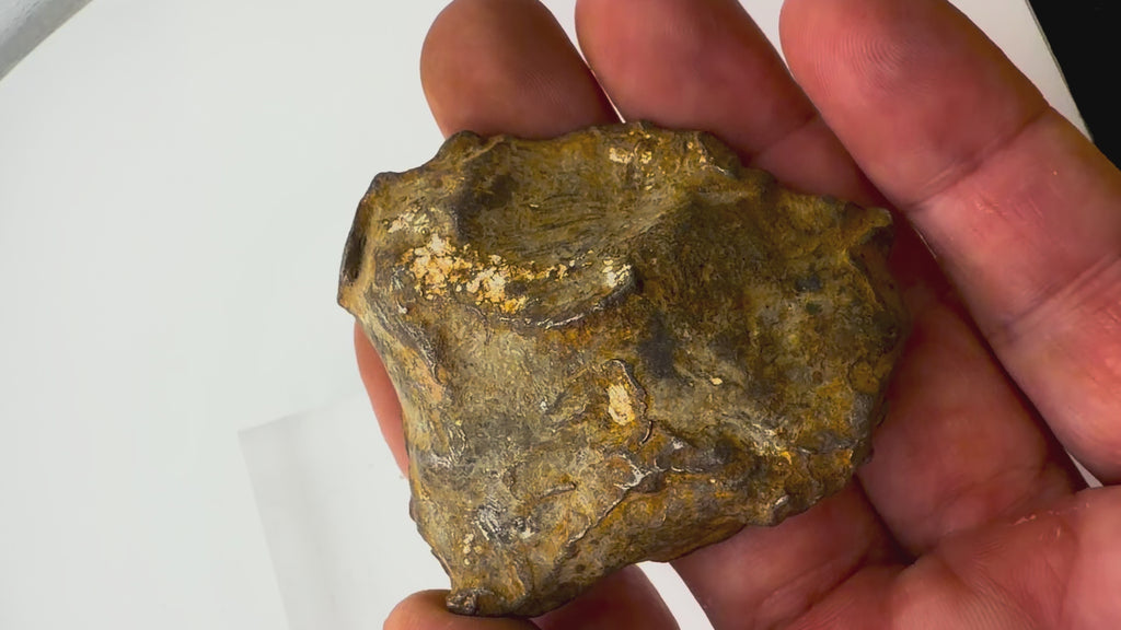 Gebel Kamil Iron Meteorite Individual, Ungrouped Ataxite, 224.00g, Egyptian Crater Discovery