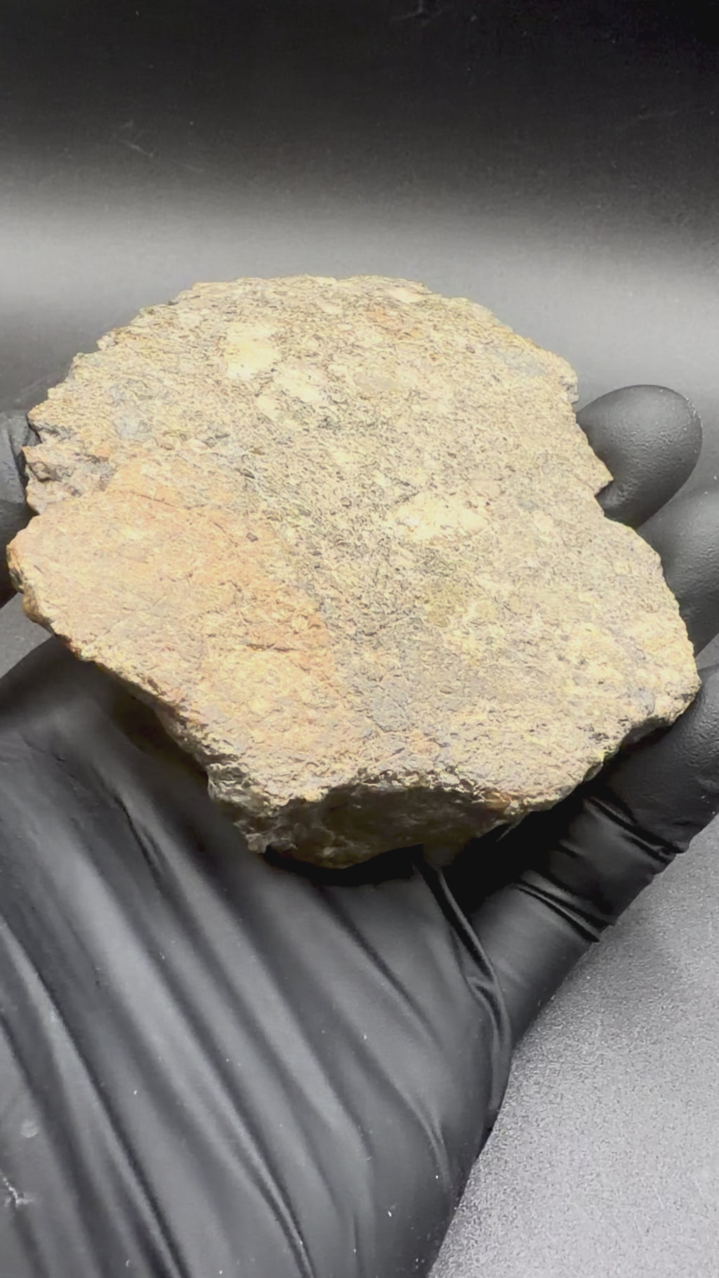 Rotating view of the 316.21 gram Laayoune 002 lunar individual showing its domed, shield-shaped profile