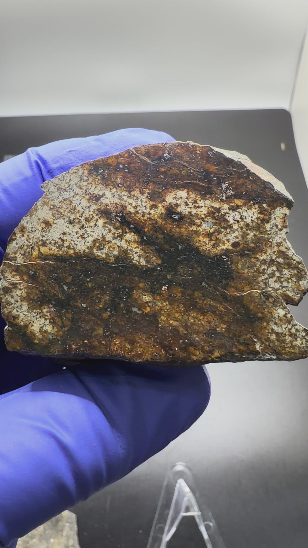 video showing all sides of NWA 17298, a highly shocked, L6 Ordinary Chondrite 