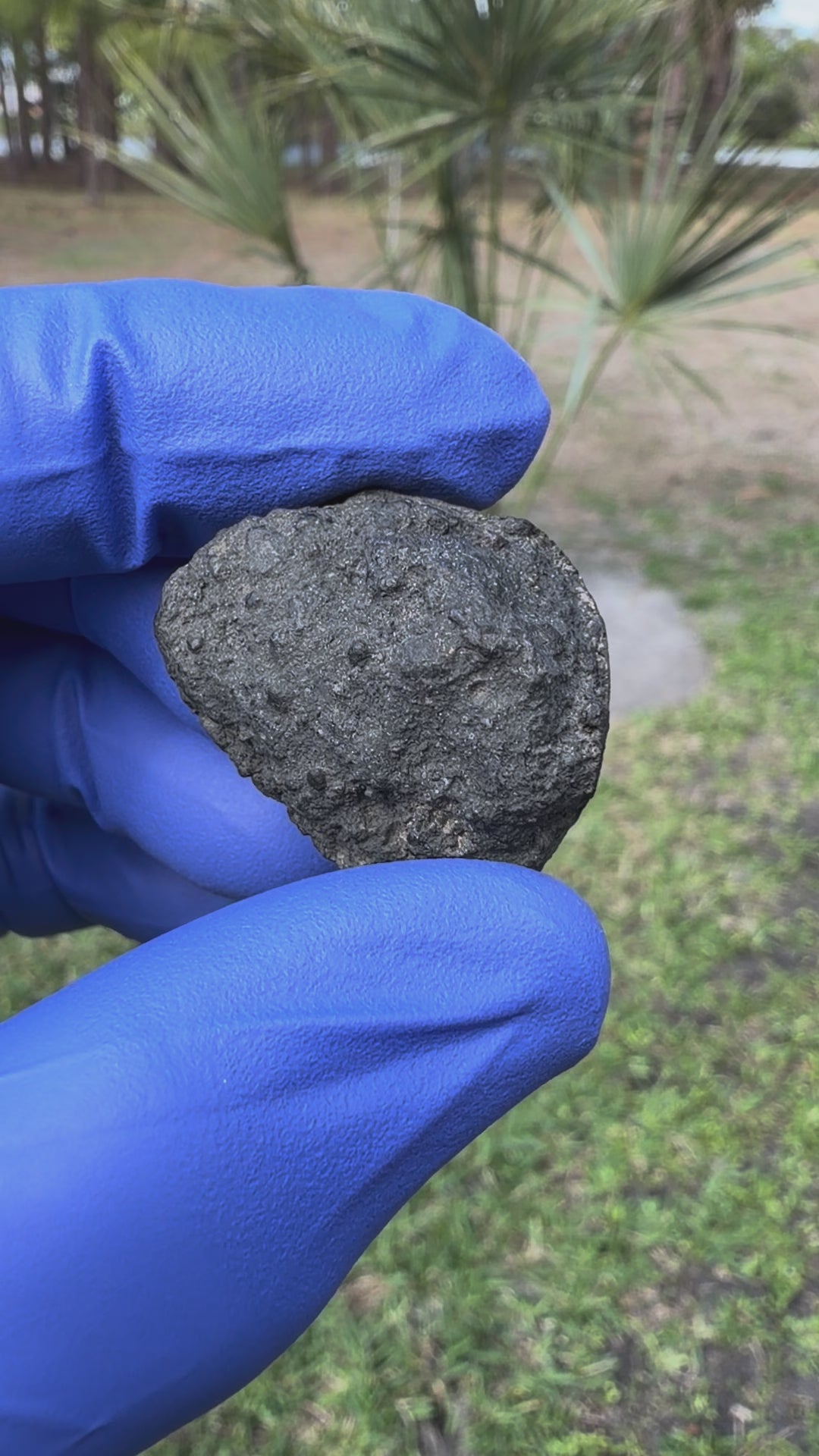 Oriented carbonaceous chondrite meteorite individual from Morocco found in 2025