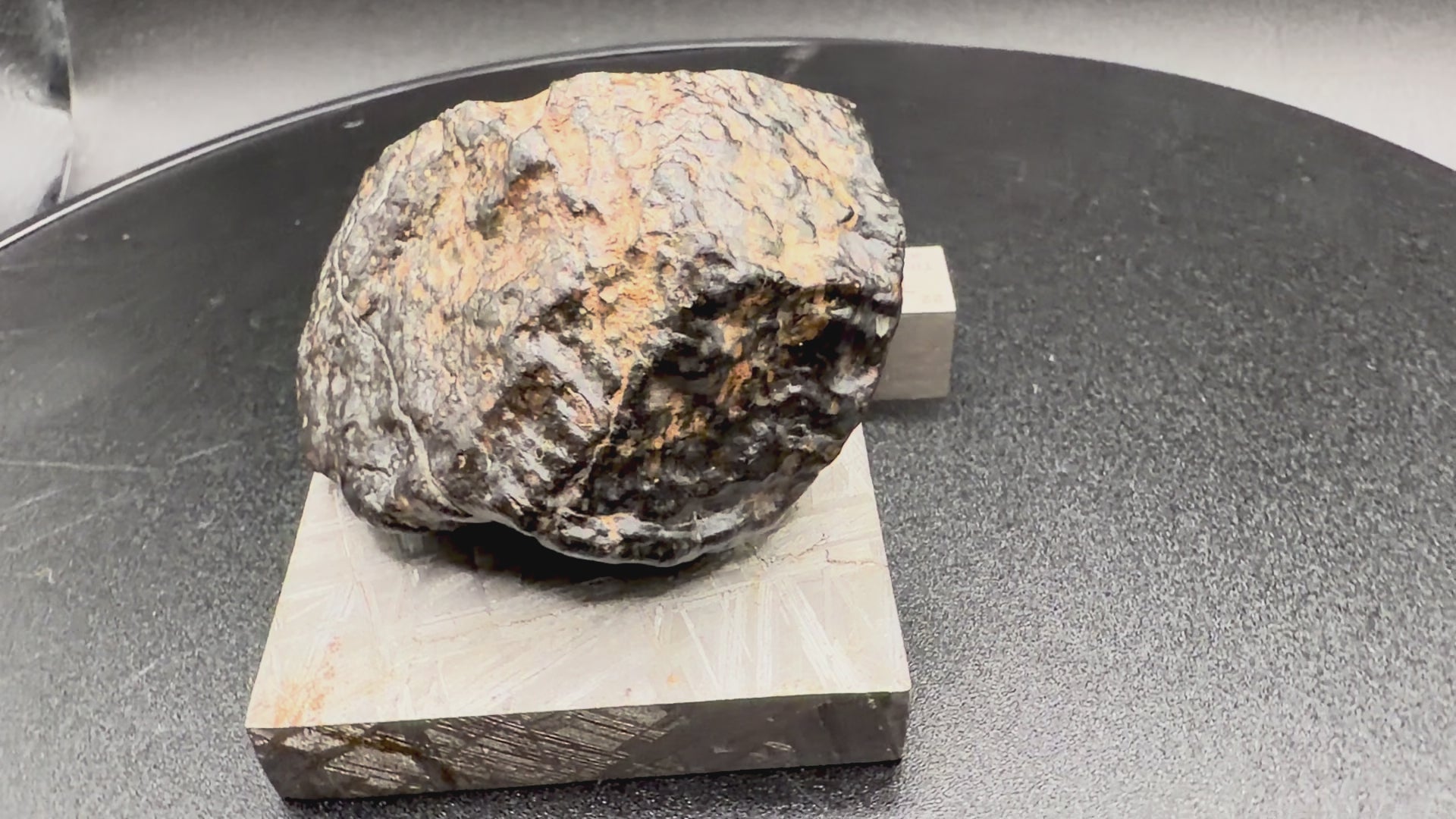 Rotation video of NWA 18497 CVox3 carbonaceous chondrite 71.00 gram end cut
