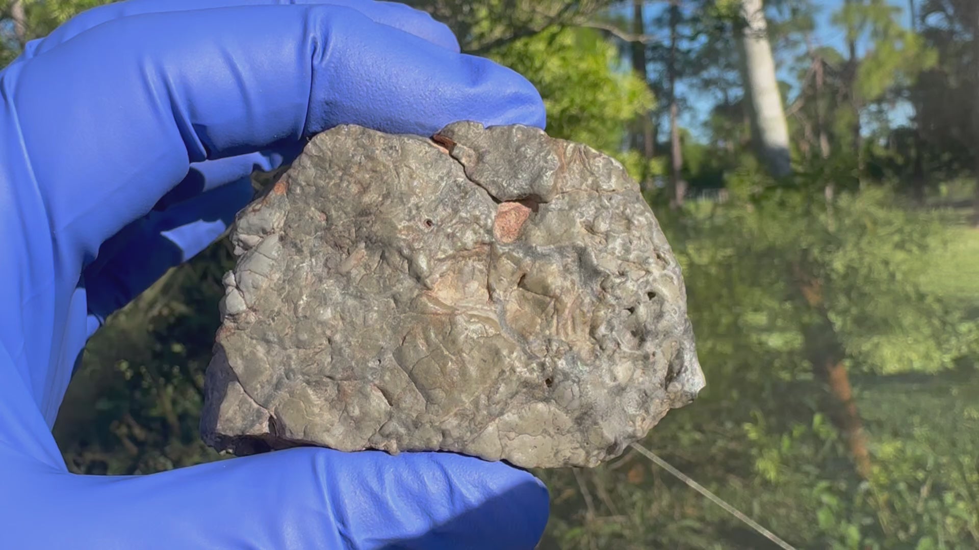 Adrar 013 – 142.20g Museum Quality meteorite Lunar (Melt Breccia) video of all sides in sunlight