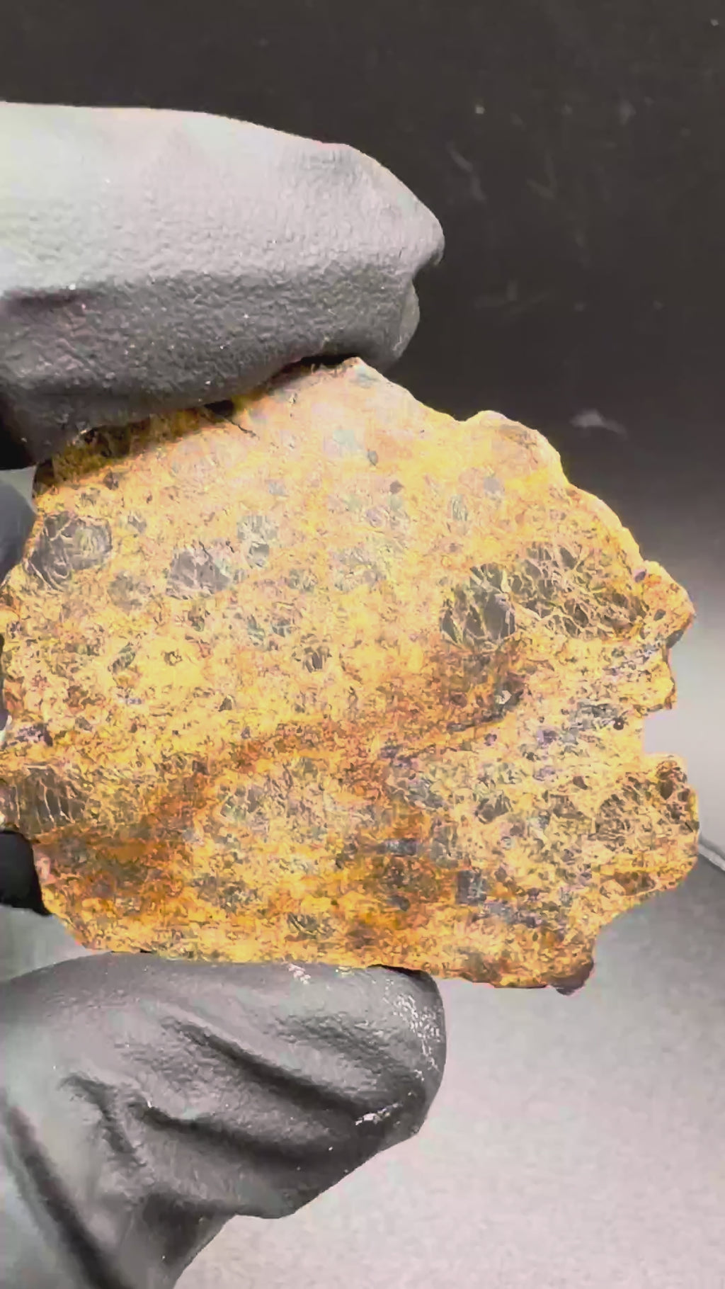 NWA 18591 diogenite meteorite, 6.57g polished full slice, video of the brecciated face