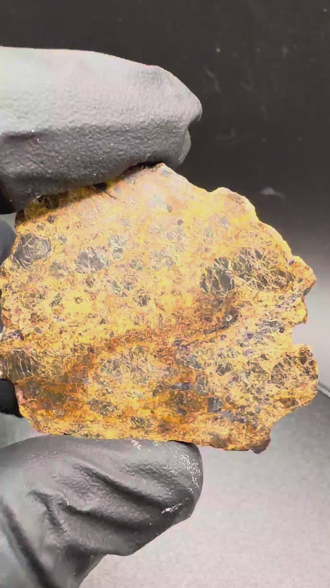 NWA 18591 diogenite meteorite, 6.57g polished full slice, video of the brecciated face