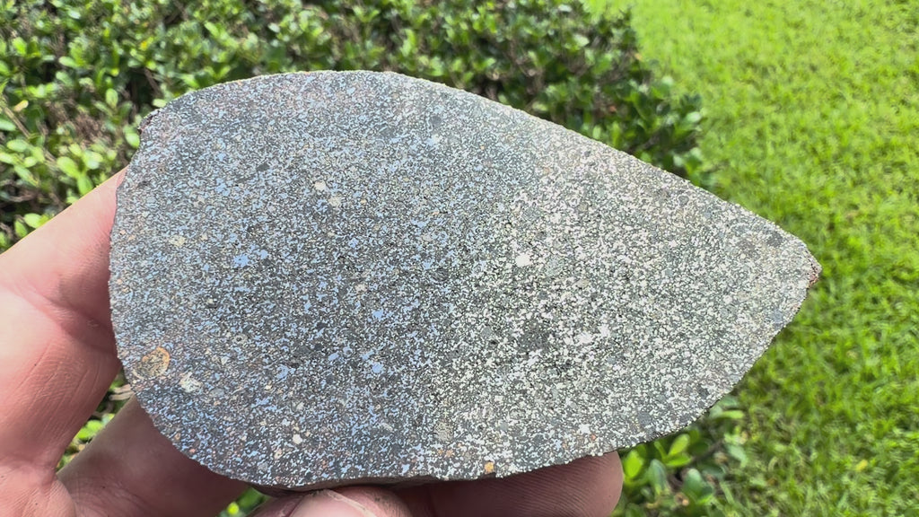 Video of the NWA 18205 H3 ordinary chondrite endcut