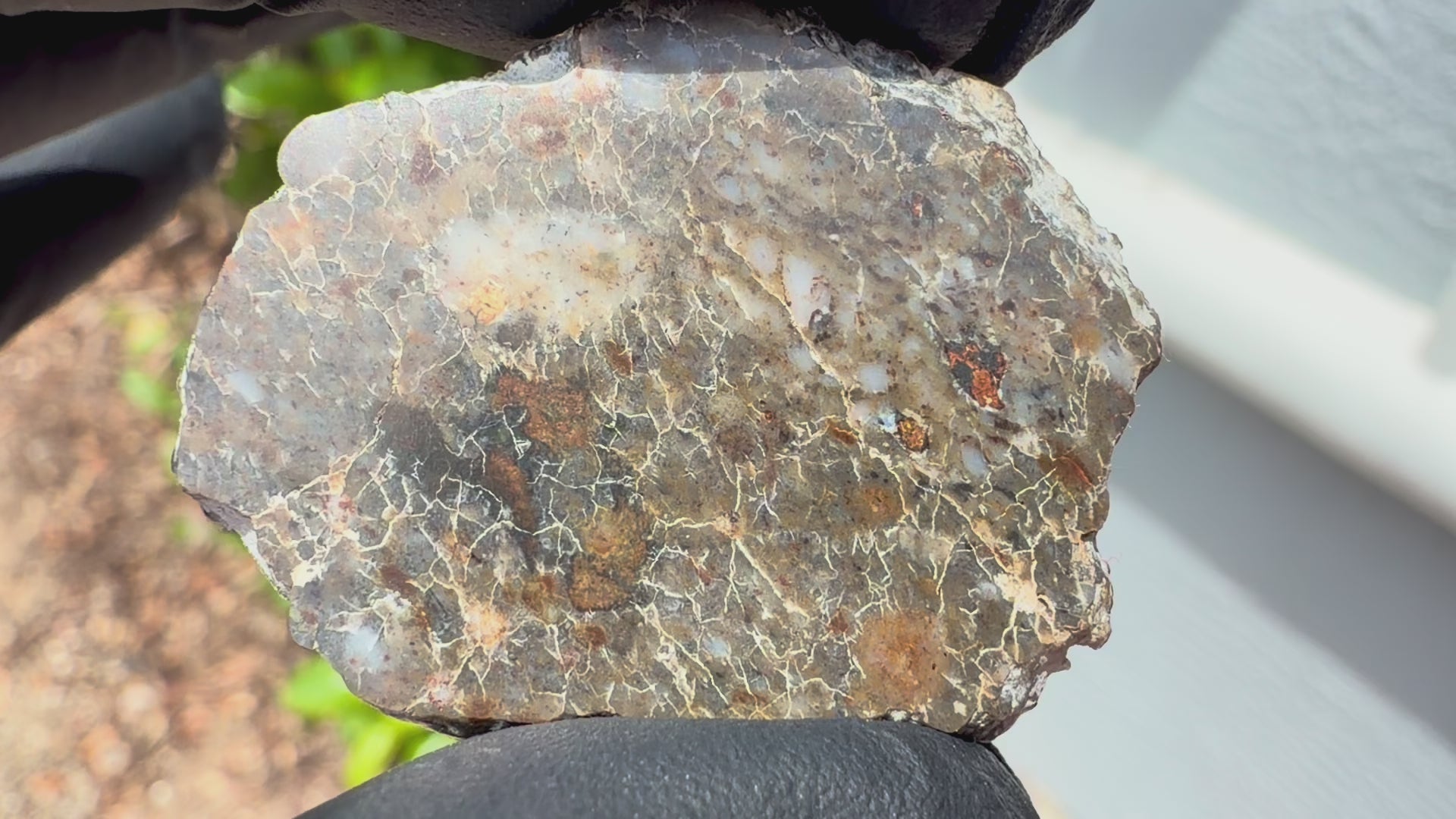 Laayoune 002 lunar feldspathic breccia full slice turned in sunlight to show the reflectivity of the mirror polish and all sides