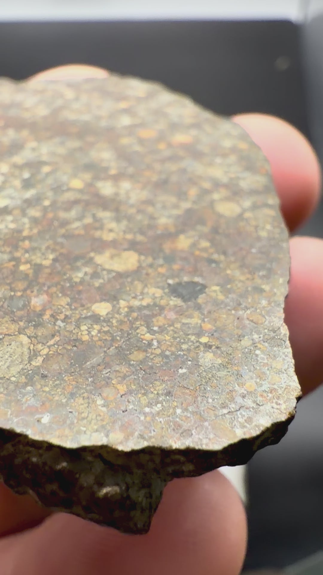 Detail video view of NWA 16975 LL3 ordinary chondrite meteorite end-cut slice of all sides