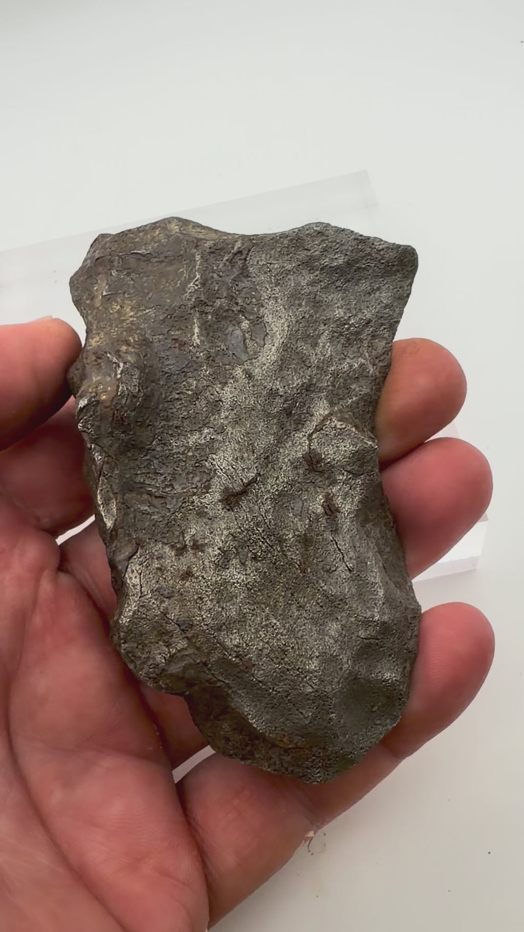 Gebel Kamil Iron Meteorite - Ungrouped Ataxite from Egypt w/COA, 430.46g