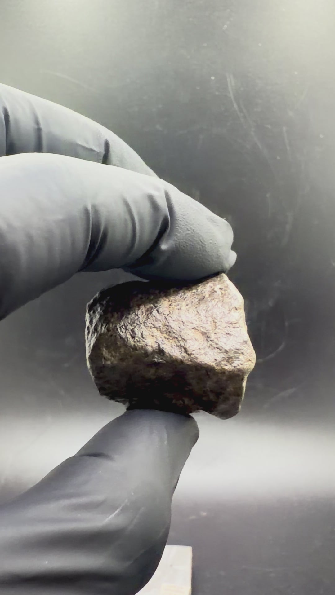 Handheld 360 degree rotation of the 40.80g Amgala 001 Martian shergottite complete individual. Gloved handling shows the full exterior including regmaglypt depressions, remnant fusion crust, knobby thumb-printed surface, and shock vein detail visible across the specimen.