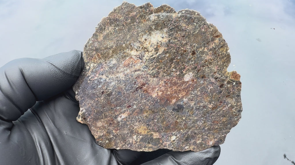 Laayoune 002 lunar meteorite end cut, 116.40 g, video rotating the polished face in hand